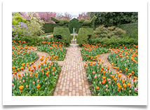 Hidcote - Kevin Shade